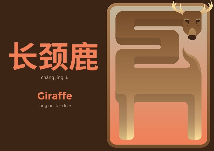 giraffe